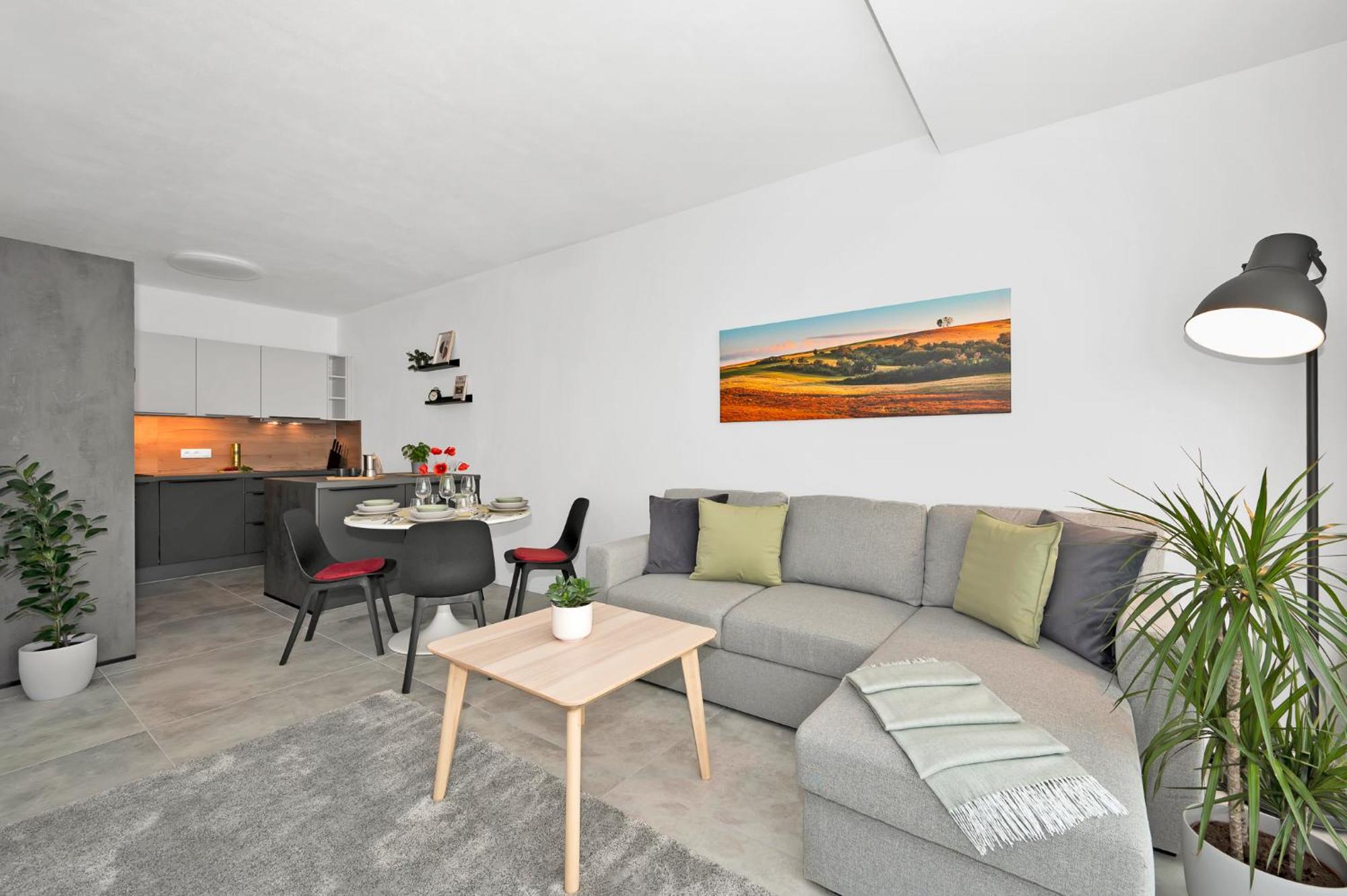 Fully Equipped Apartments With Terraces, Free Garage Parking, Netflix & Ac - By Apartmany Slapanice Cz Exterior foto
